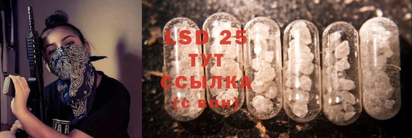 шишки Алексин