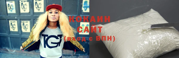прущий лед Алзамай