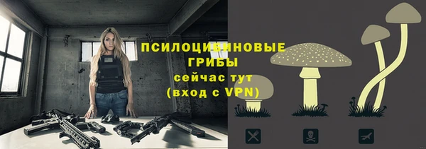 шишки Алексин