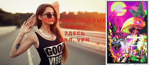 прущий лед Алзамай