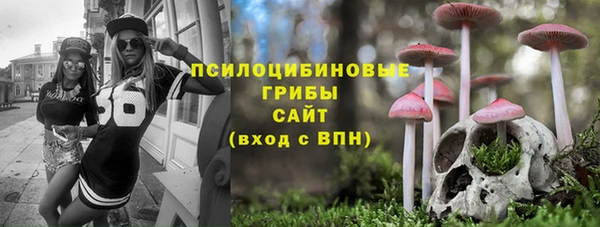 шишки Алексин